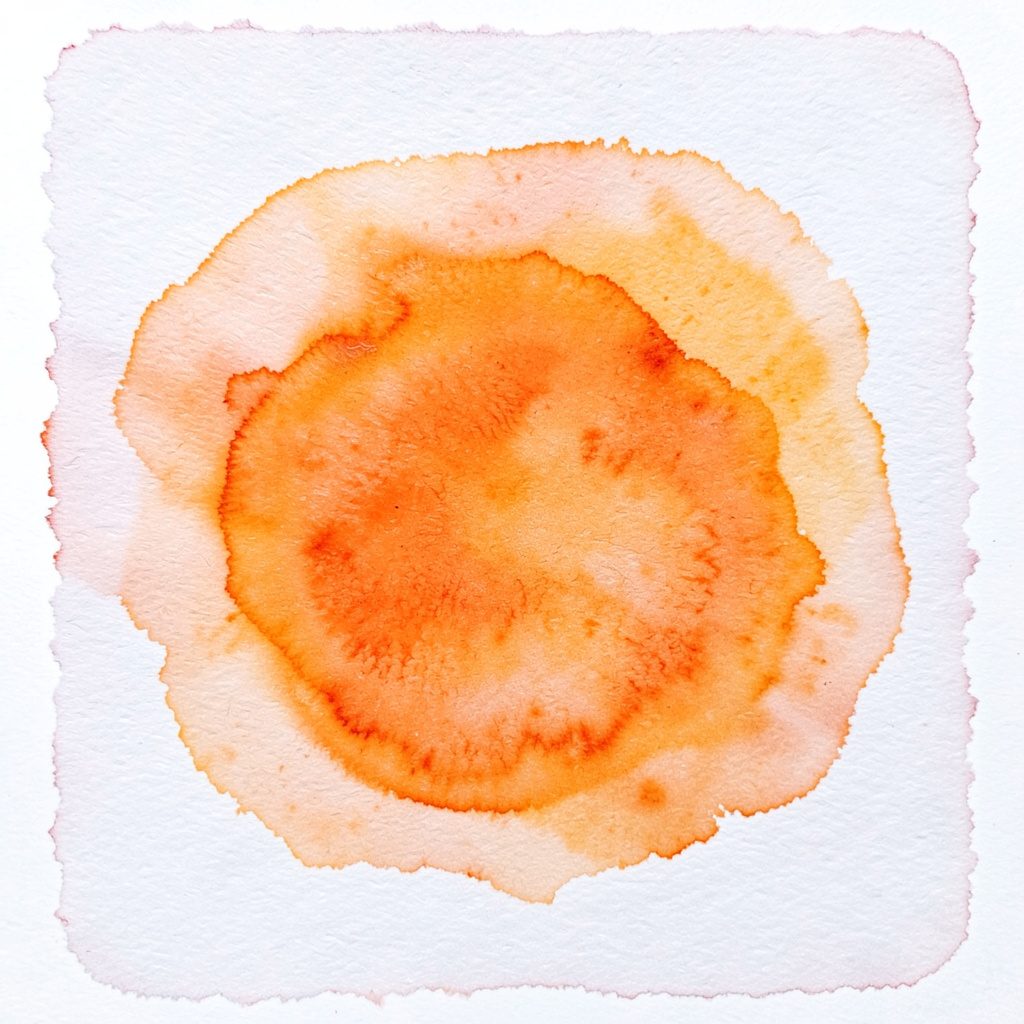 Illustration douce à l'aquarelle représentant une étagère de connaissances classées, tons bleus et beiges apaisants