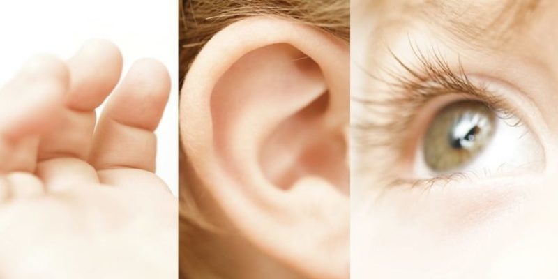 aprendizaje-auditivo-visual-kinestesico-scaled-e1577638427989
