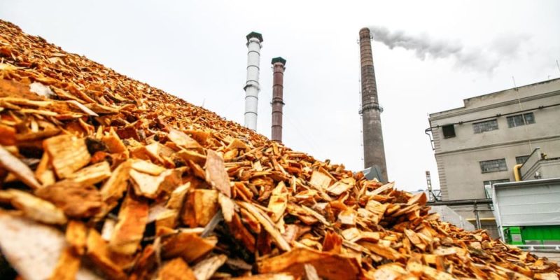 biomasa-energia-renovable-e1562620265322