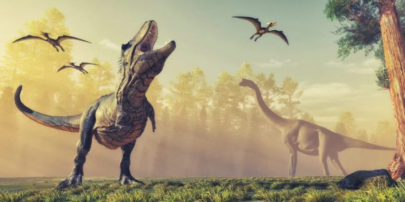 Histoire Des Dinosaures