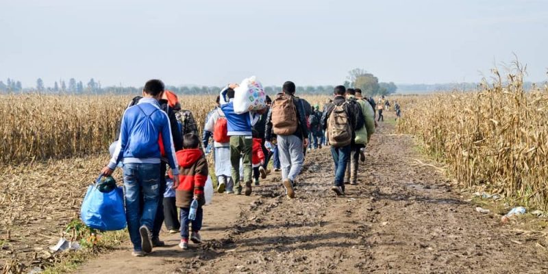 Migration, Immigration Et éMigration